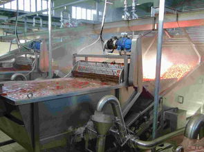 果蔬清洗機(jī) 大圖