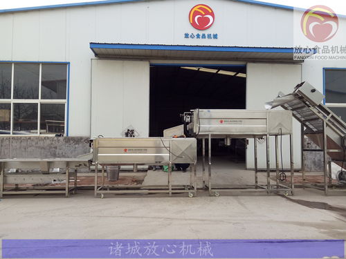 全自動紅薯去皮機(jī) 高效洗滌設(shè)備的革新與應(yīng)用