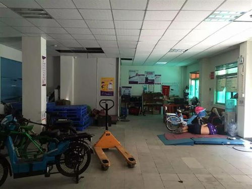 龍華區廠房結構安全檢測鑒定機構 工程技術服務保障建筑安全